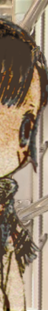 datsuo